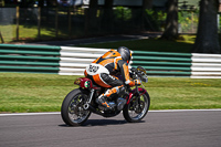 Vintage-motorcycle-club;eventdigitalimages;mallory-park;mallory-park-trackday-photographs;no-limits-trackdays;peter-wileman-photography;trackday-digital-images;trackday-photos;vmcc-festival-1000-bikes-photographs